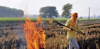parali burning in punjab